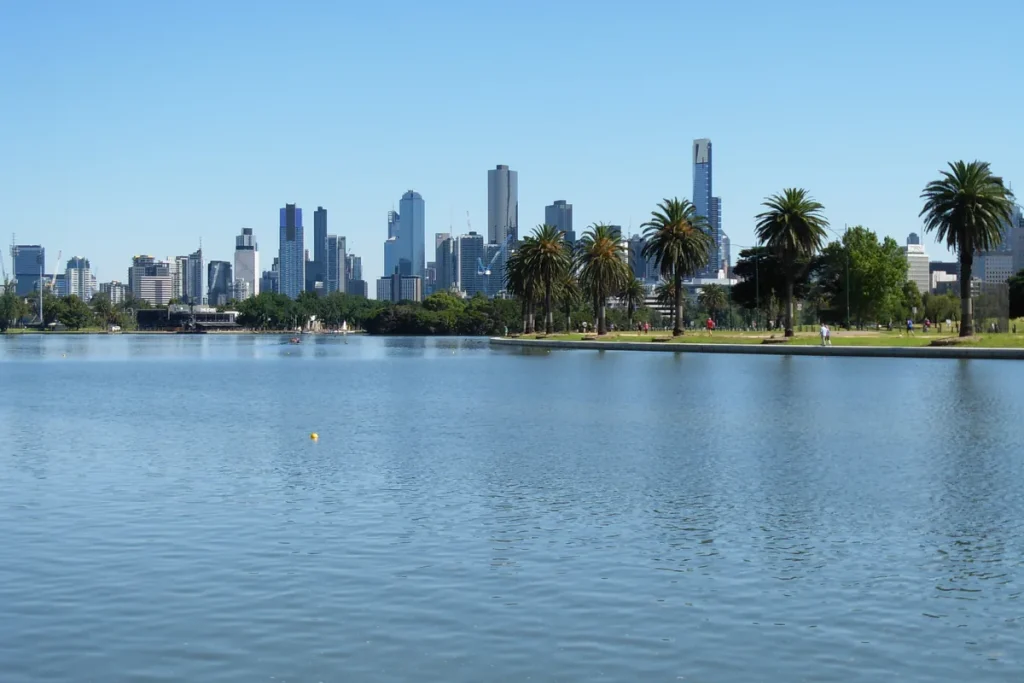 Albert Park Lake in the foreground with palm trees on the bank and the Melbourne city skyline beyond under a clear blue sky.