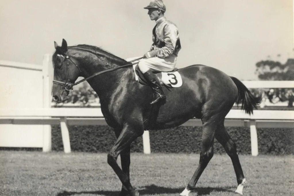 A black-and-white photograph of a dark racehorse wearing saddlecloth number 3, walking on grass at Flemington with a jockey in silks aboard and a white rail and hedge behind.