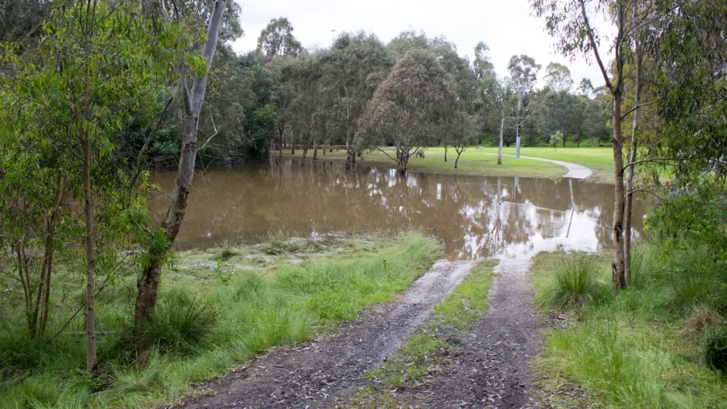 Brown floodwater covering a shared gravel trail between green parkland and eucalyptus trees at Yarra Flats Reserve in Melbourne's east, with the water reflecting the tree line. Photographed in November 2022; illustrative, not from the October 2026 storm.